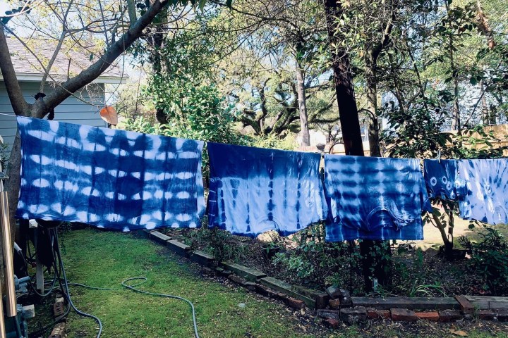 a tree next to a fence