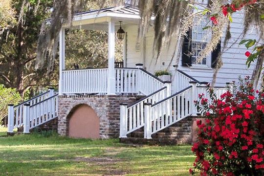 a close up of a flower garden in front of a house