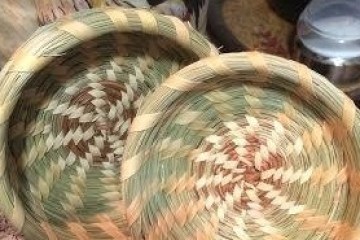 a close up of a bird