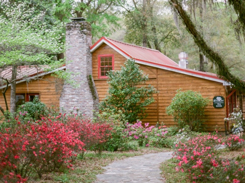 a close up of a flower garden in front of a house