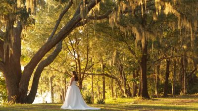 Bride in white dress stands under large mossy trees at sunset.